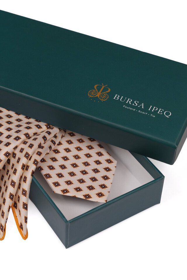 Ekru Desenli İpek Kravat Takımı - 4