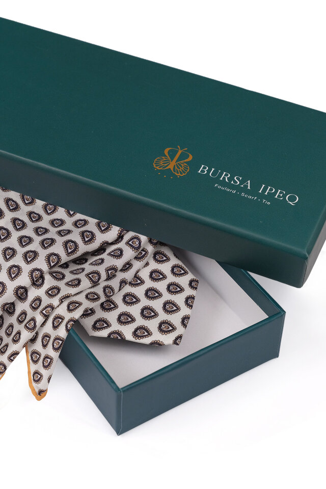 Ekru Desenli İpek Kravat Takımı - 4