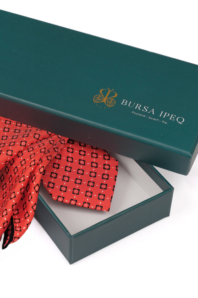 Kırmızı Desenli İpek Kravat Takımı - 4