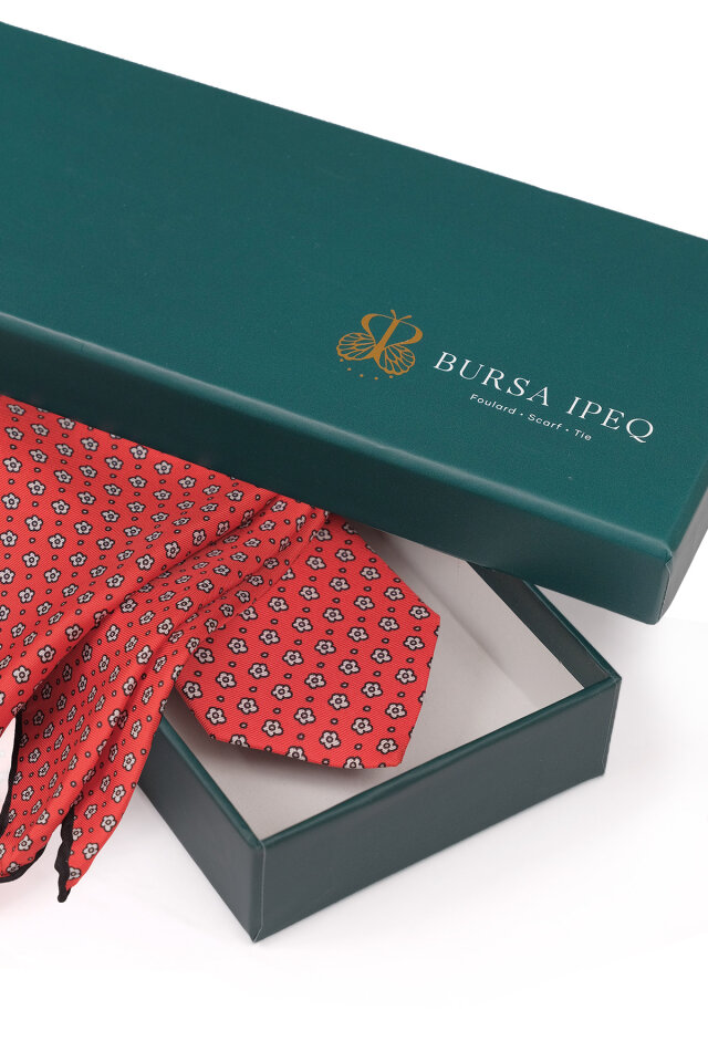 Kırmızı Desenli İpek Kravat Takımı - 4