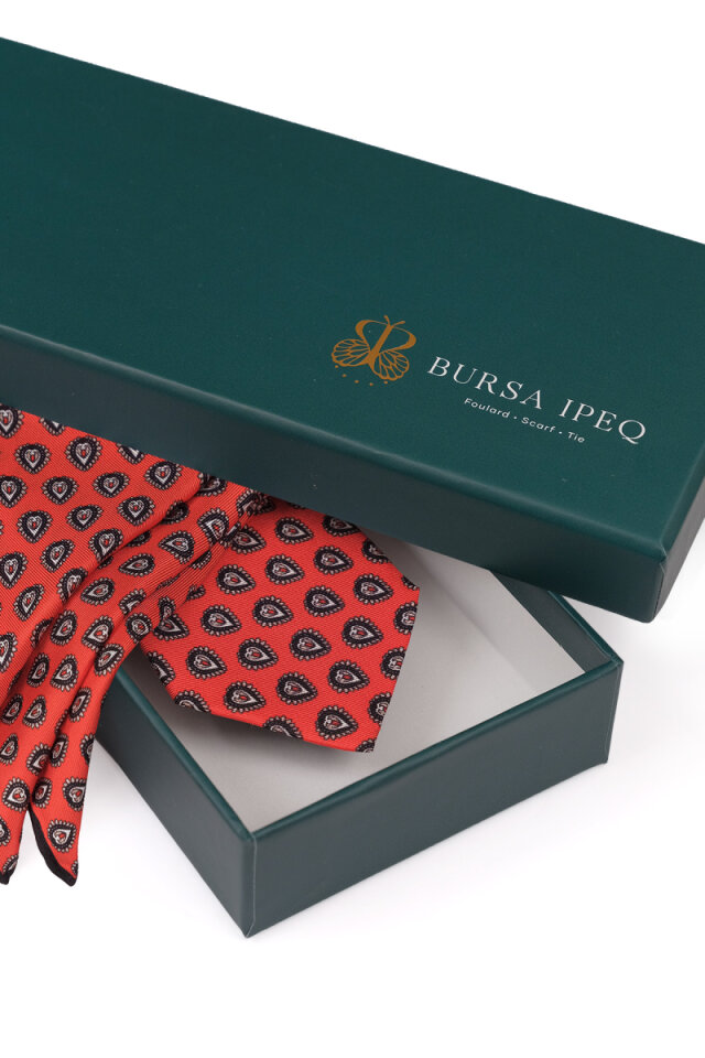 Kırmızı Desenli İpek Kravat Takımı - 4