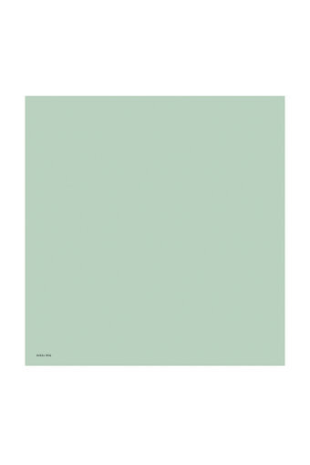 Mint Düz Renk Twill İpek Eşarp 