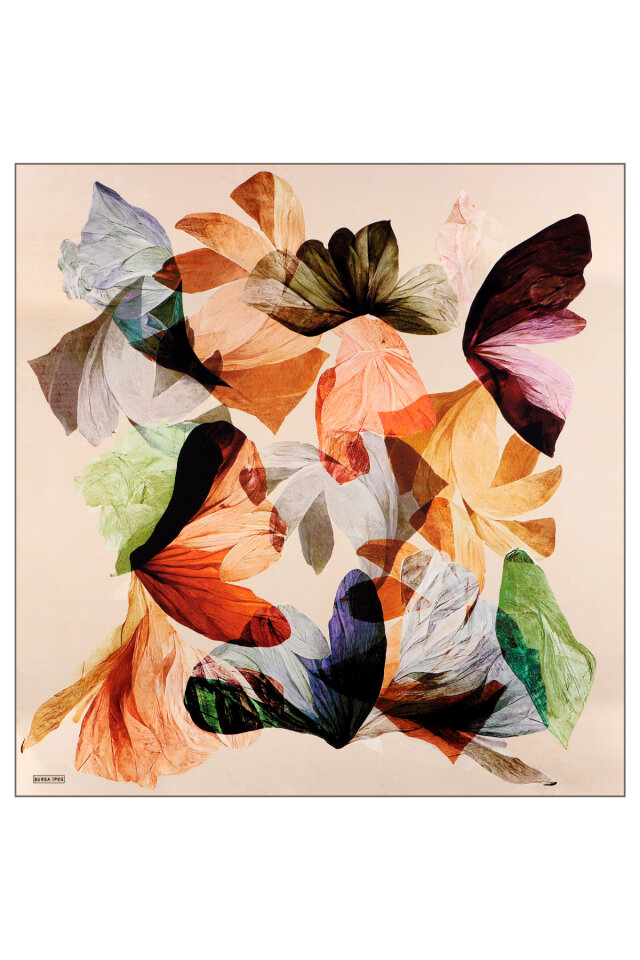 Soft Beige Harmony Pattern Sura Silk Scarf - 3